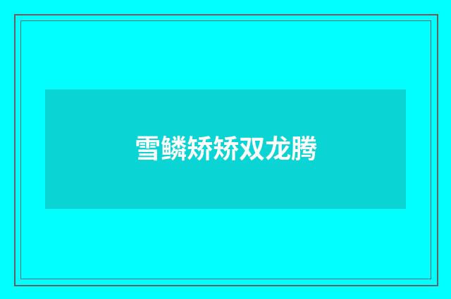 雪鳞矫矫双龙腾