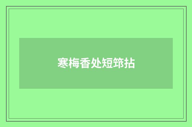 寒梅香处短筇拈
