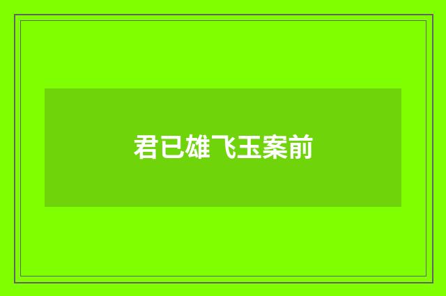 君已雄飞玉案前