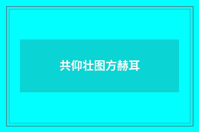 共仰壮图方赫耳