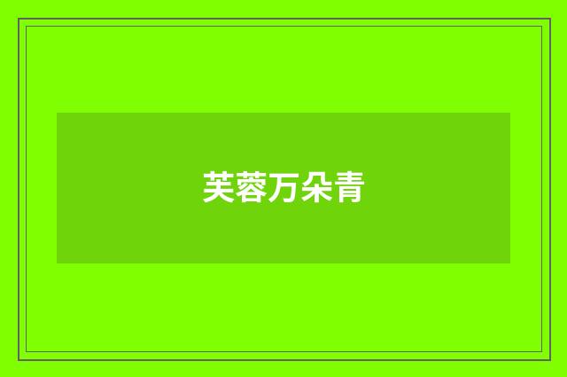 芙蓉万朵青