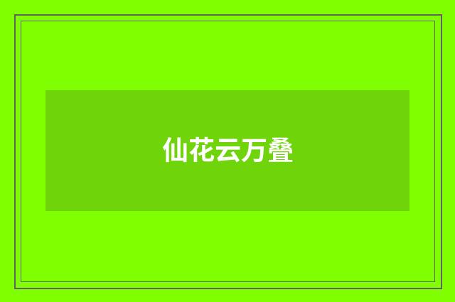 仙花云万叠