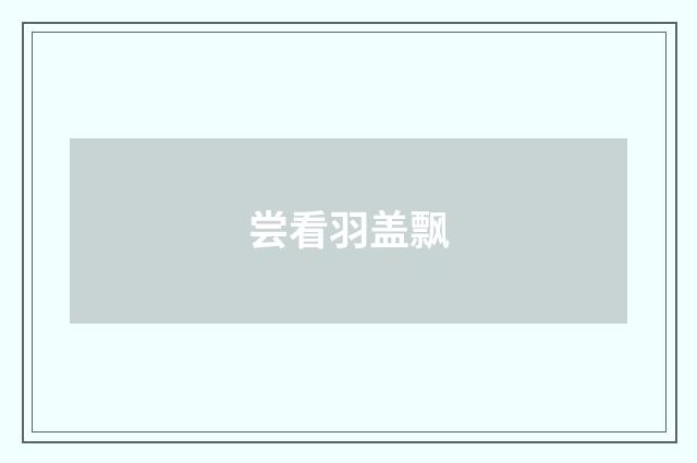 尝看羽盖飘