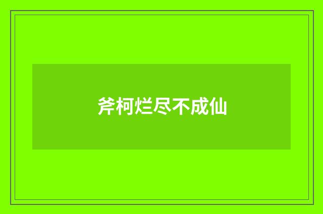 斧柯烂尽不成仙