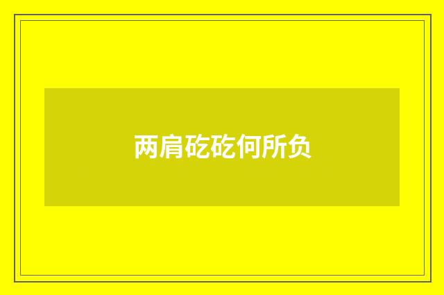 两肩矻矻何所负