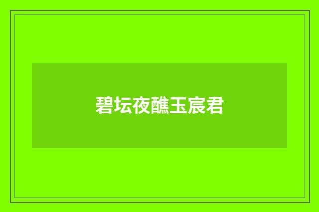 碧坛夜醮玉宸君
