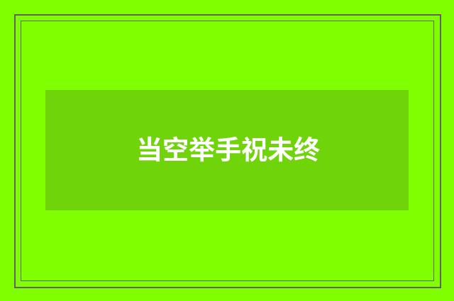当空举手祝未终