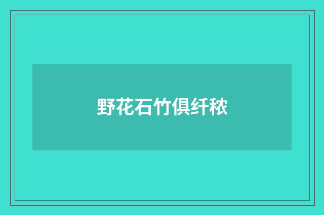 野花石竹俱纤秾
