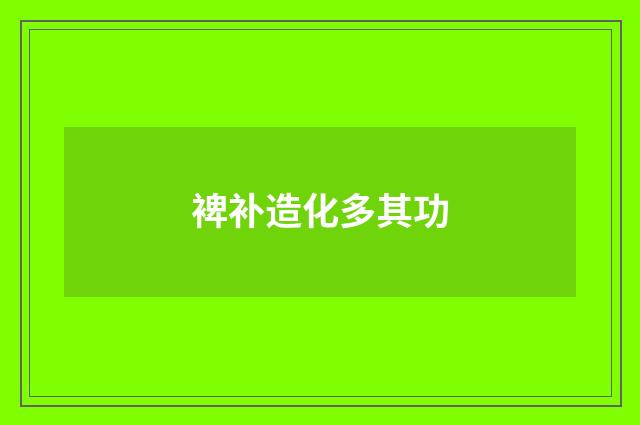 裨补造化多其功