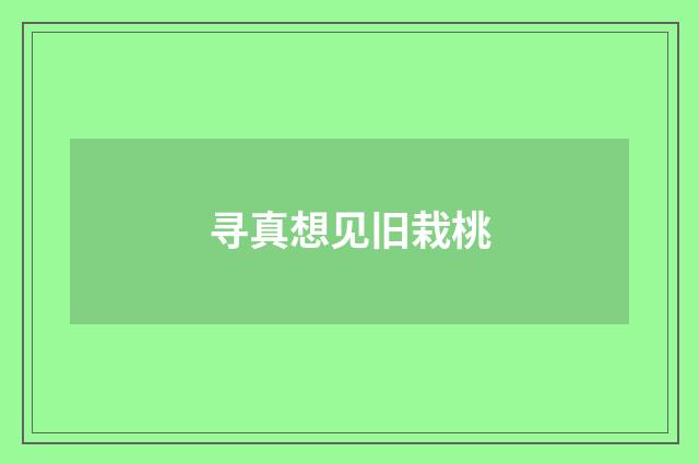寻真想见旧栽桃