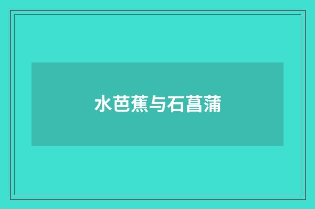 水芭蕉与石菖蒲