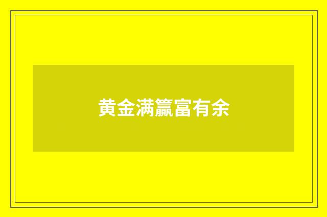 黄金满籯富有余