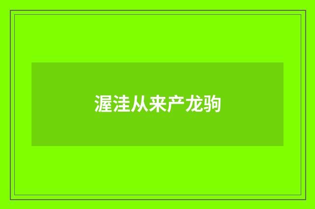 渥洼从来产龙驹