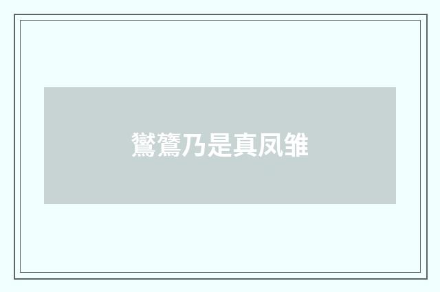 鸑鷟乃是真凤雏