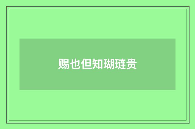 赐也但知瑚琏贵