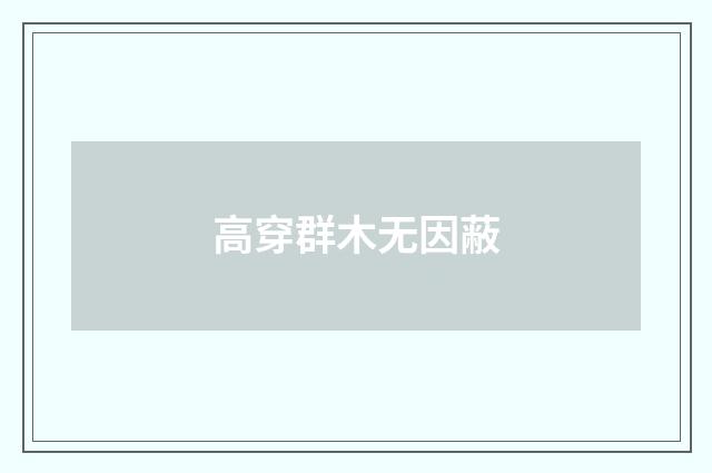 高穿群木无因蔽
