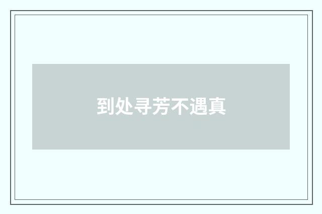 到处寻芳不遇真