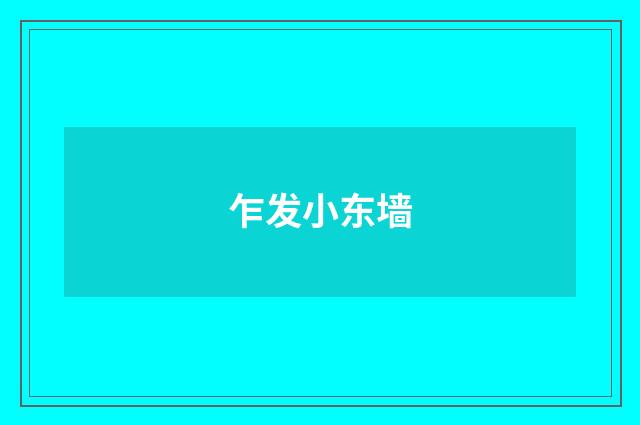 乍发小东墙