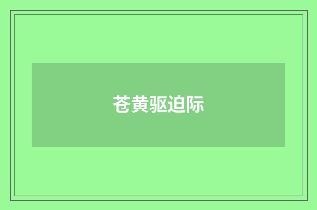 苍黄驱迫际