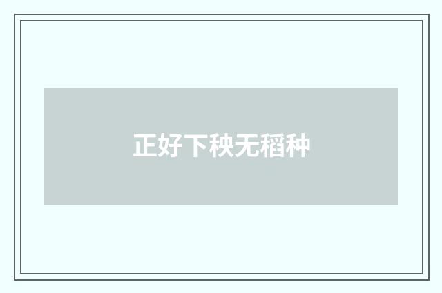 正好下秧无稻种