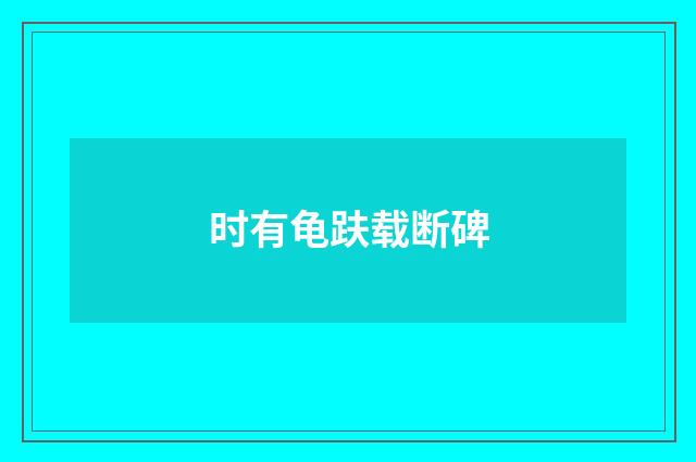 时有龟趺载断碑