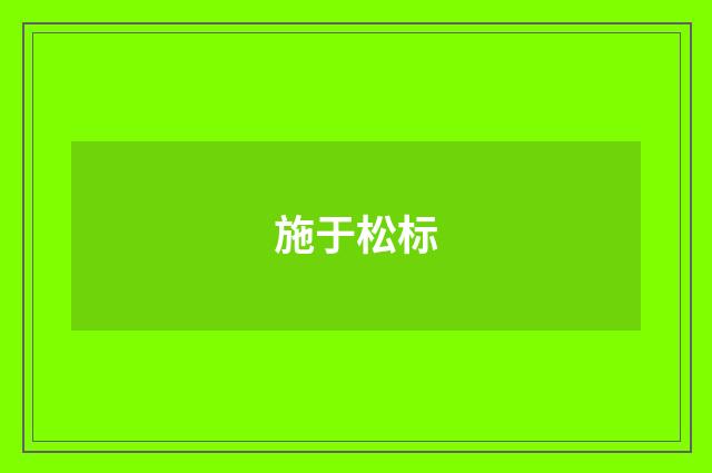 施于松标
