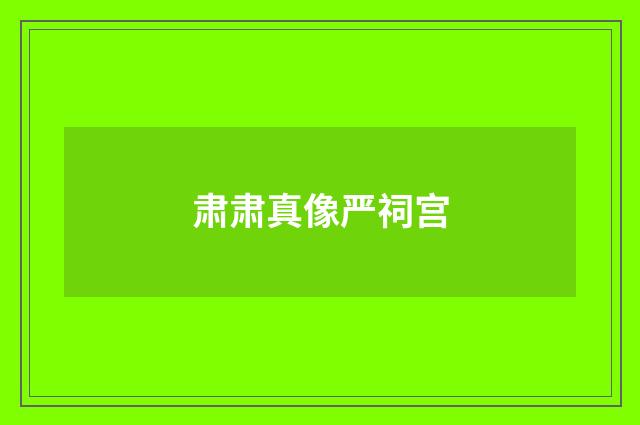 肃肃真像严祠宫