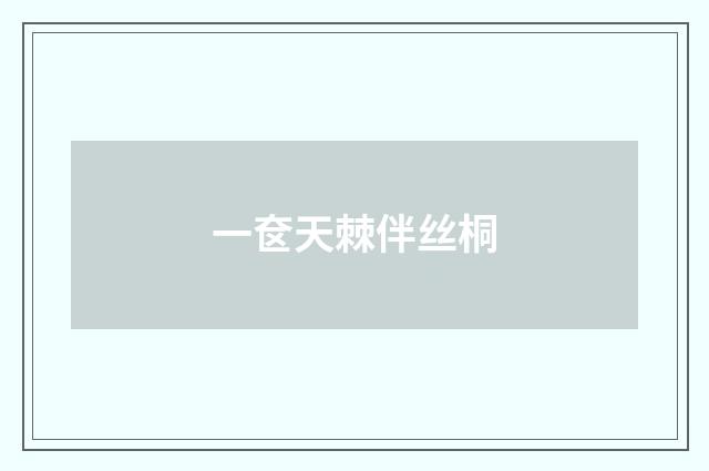 一奁天棘伴丝桐