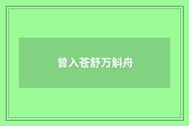 曾入苍舒万斛舟