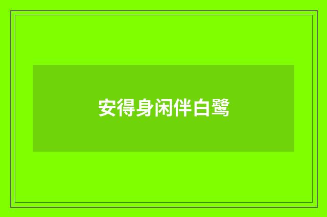 安得身闲伴白鹭