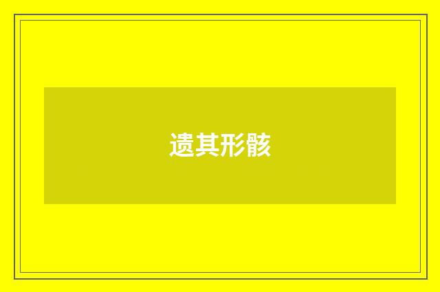 遗其形骸