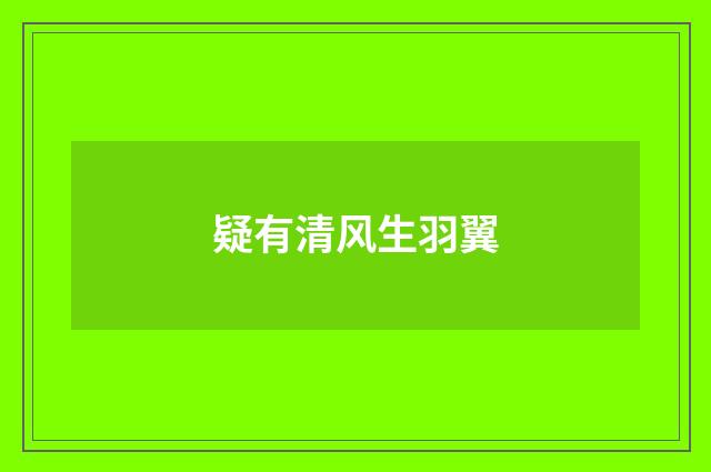 疑有清风生羽翼