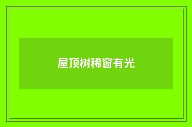 屋顶树稀窗有光
