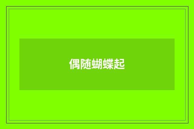 偶随蝴蝶起