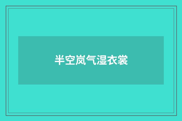 半空岚气湿衣裳