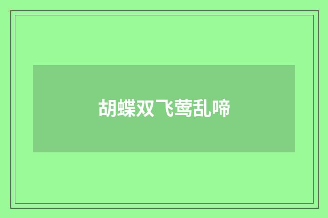 胡蝶双飞莺乱啼
