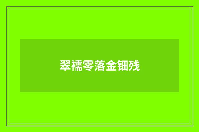翠襦零落金钿残