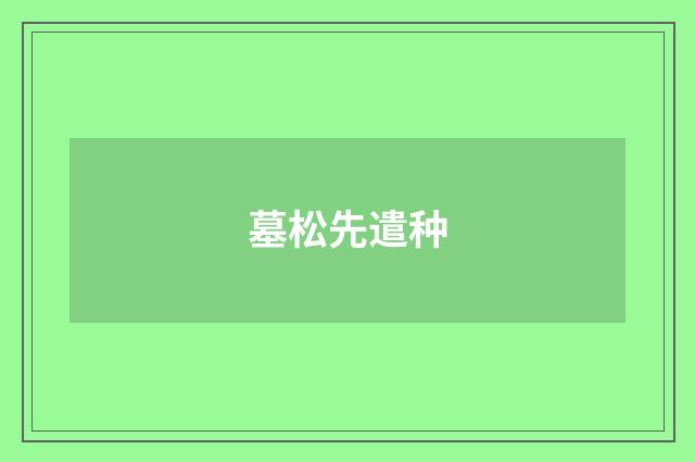 墓松先遣种