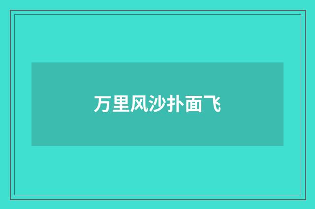 万里风沙扑面飞