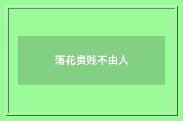 落花贵贱不由人