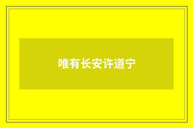 唯有长安许道宁