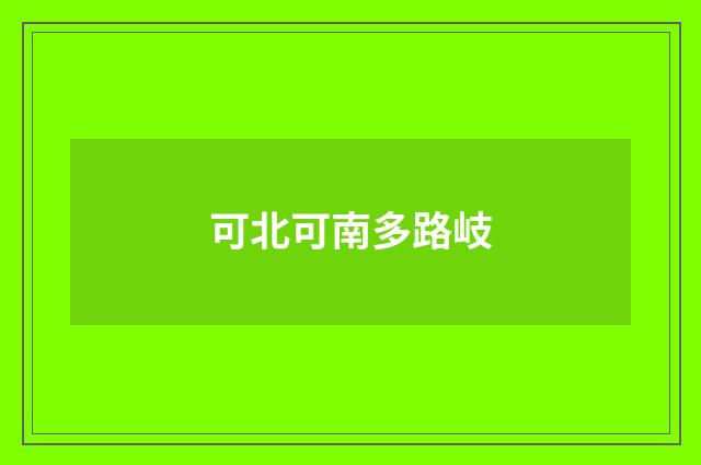 可北可南多路岐
