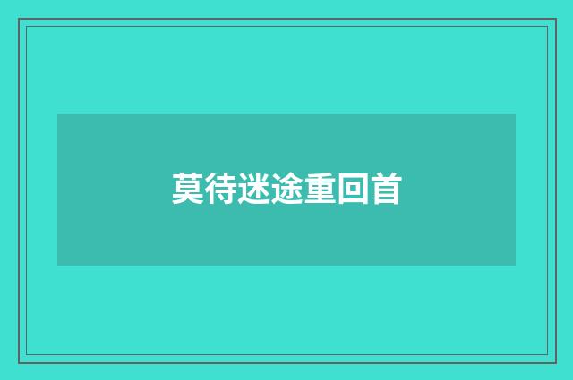 莫待迷途重回首