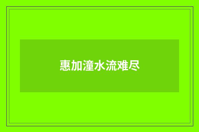 惠加潼水流难尽