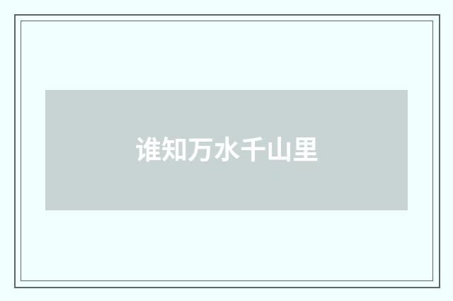 谁知万水千山里