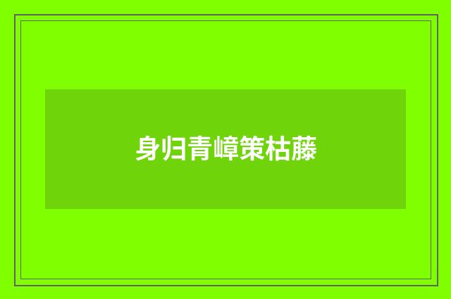 身归青嶂策枯藤