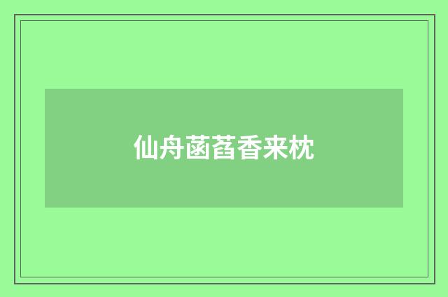 仙舟菡萏香来枕