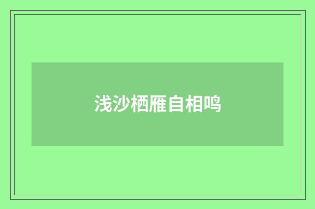 浅沙栖雁自相鸣