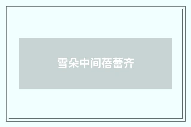 雪朵中间蓓蕾齐