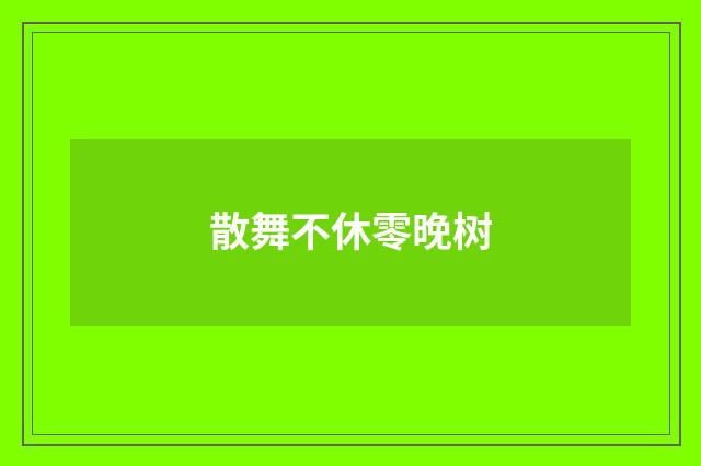 散舞不休零晚树